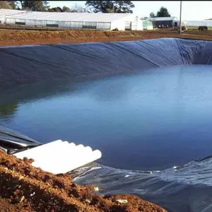 ASTM Standard HDPE Pond Liner