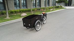 Triciclo Eléctrico de Carga Resistente de 250W con Cabina Delantera, Bicicleta Familiar para Niños con 3 Ruedas, Stock Europeo para Entrega en Almacén - Product Image 3