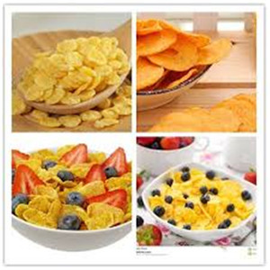 Extrudé alimentaire <span class=keywords><strong>Nestlé</strong></span> de Kellogg flocons De Maïs extrudeuse Céréales de petit déjeuner Maker Machine - Product Image 4
