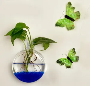 6 Formen Wandbehang Pflanz gefäße Runde Glas Blumentöpfe Blumen pflanze Pflanze für Indoor Gardening Home Dekoration