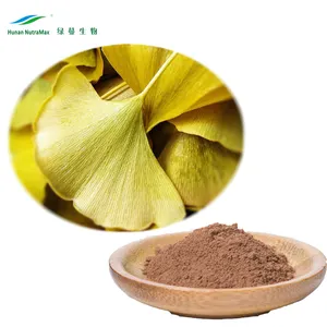 100% Natural Ginkgo Biloba Leaf Extract 24% Ginkgolides