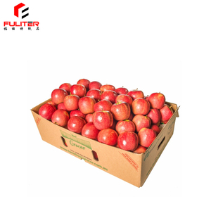 Nuevos productos diseño libre buena regeneración fruta fresca cortada máquina <span class=keywords><strong>de</strong></span> empaquetado <span class=keywords><strong>de</strong></span> la <span class=keywords><strong>Caja</strong></span> - Product Image 4