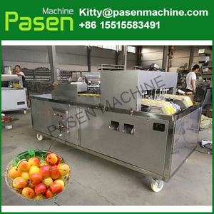 Remoção da máquina | máquina de Fruta pitting cereja pit | máquina pitting Cereja - Product Image 6