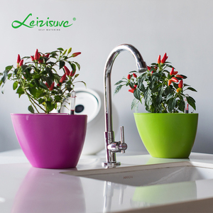 oficina mesa de escritorio barato al por mayor de lujo macetas planta pequeña macetas para plantas suculentas - Product Image 2