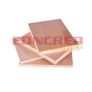 <span class=keywords><strong>Madera</strong></span> contrachapada de abedul con núcleo de álamo de 18mm - Product Image 1