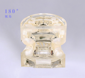 Modèle de dent standard pour bébé / Modèle anatomique avec dentition mixte - Product Image 4