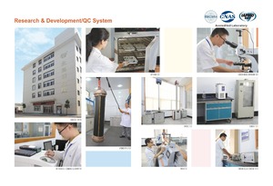 Kỷ Nguyên Chất Lượng Hàng Đầu <span class=keywords><strong>PPR</strong></span> Giấu <span class=keywords><strong>Stop</strong></span> <span class=keywords><strong>Valve</strong></span> Với Chrome Xử Lý - Product Image 6