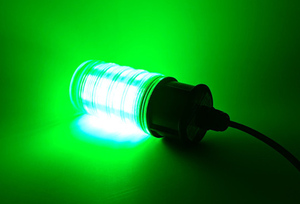 Lumière Led de pêche sous-marine, attirante de <span class=keywords><strong>poisson</strong></span>, dc 12v 10W, pêche nocturne - Product Image 4