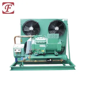 Lage Temperatuur 12hp Twee Stage Compressor Condenserende Eenheid Voor Snel Vrieskou Kamer (Luchtgekoelde S4G12.2)