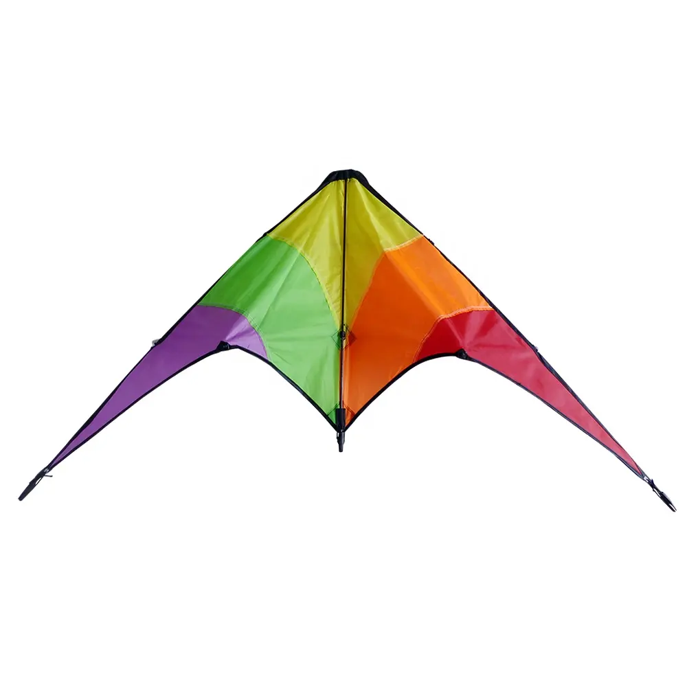 Dual Line Professional Delta Stunt Kite From the Kite Factory