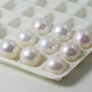 Nhà Máy Trực Tiếp Cung Cấp Shell Mabe Pearl Với Giá Tốt