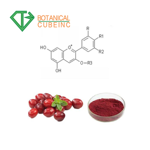 Naturel <span class=keywords><strong>Anti</strong></span> inflammatoire suppléments Proanthocyanidines (PACs) Extrait De Canneberge - Product Image 3