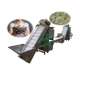 Garlic peeling production line/Garlic peeling machine skin peeler/Garlic peeling machine