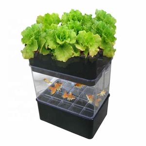 어항 및 화분 및 재배자와 가정 또는 정원을위한 미니 실내 Aquaponics 수족관 화분 - Product Image 4