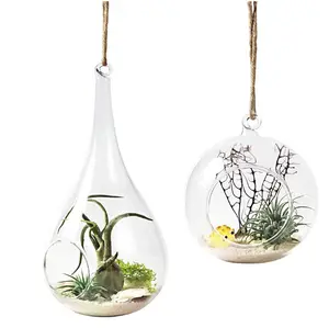 Atacado vasos de plantas penduradas-Z765 vaso de vidro de pendurar, vaso de plantas suculentas criativas, display de terrário, decorativo, vaso de vidro transparente