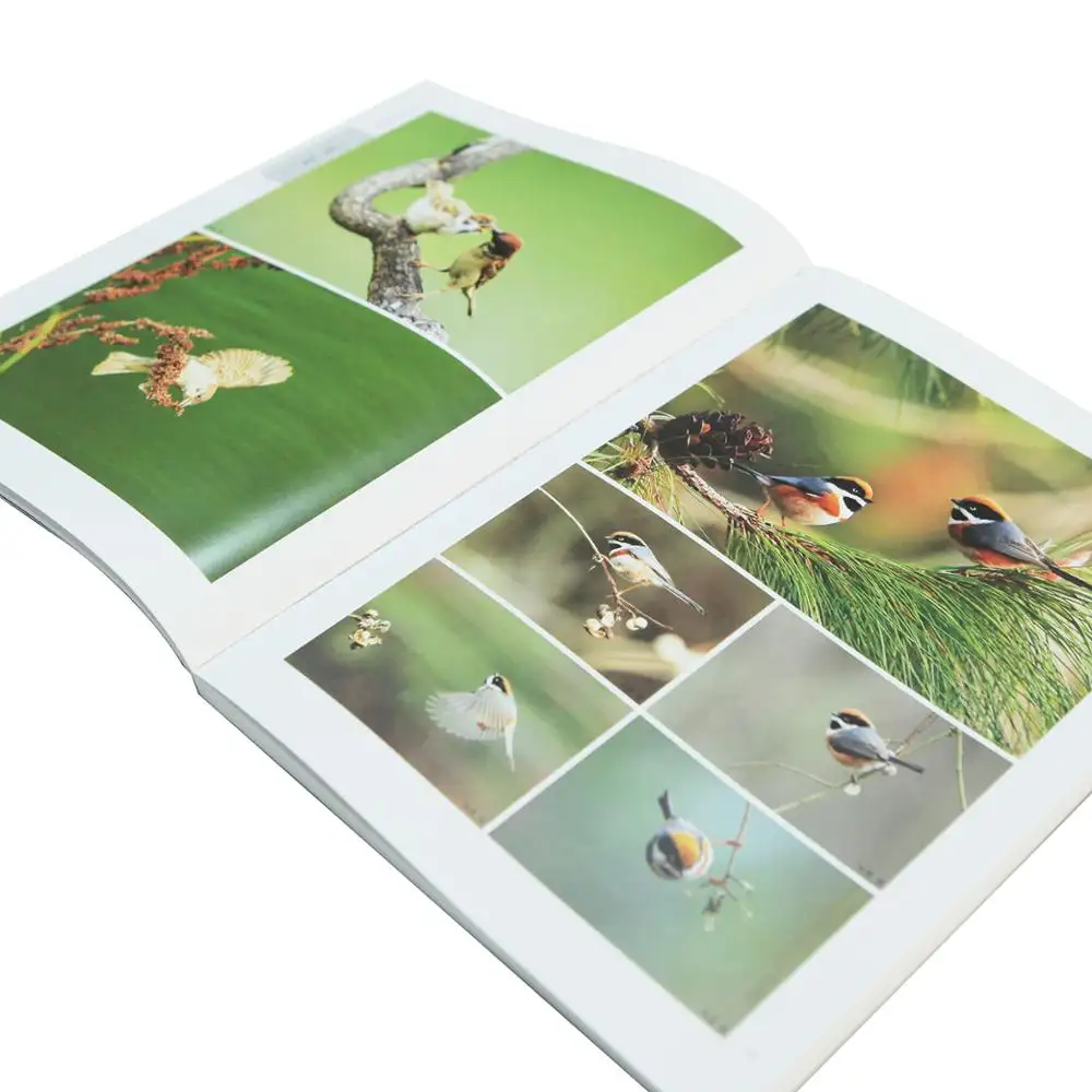 <span class=keywords><strong>Libro</strong></span> de tapa blanda personalizado a todo Color, Impresión de álbum de fotos de pájaros
