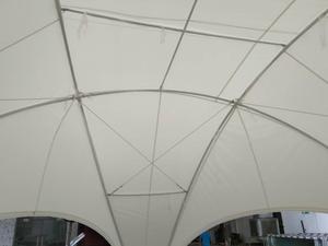 Dôme géodésique Tente dôme tabernacle en PVC avec cadre en aluminium Hôtel de glamping - Product Image 5