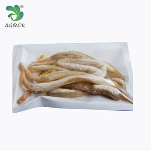 AGROK De Pêche Appât Vivant Sec <span class=keywords><strong>Bibi</strong></span> Ver Leurres De Pêche D'arachide Ver Avec Haute Qualité - Product Image 4
