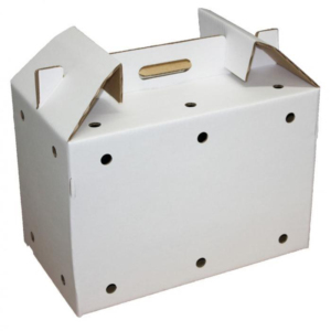 Consegna veloce su misura disegno ondulato pieghevole personalizzato <span class=keywords><strong>cartone</strong></span> pet carrier - Product Image 1