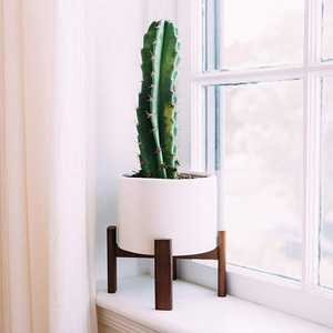 Jardinera interior <span class=keywords><strong>oculto</strong></span> bandeja de goteo blanco de riego planta con soporte de madera - Product Image 3