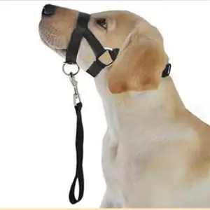 Neue Anti-Bellen Beißen Nylon Hundeleine Und Schnauze Für Hunde