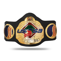 Großhandel hochwertige BJJ Brazilian Jiu Jitsu Amerikanischen Schwimmen Schule Association USSSA champions gürtel