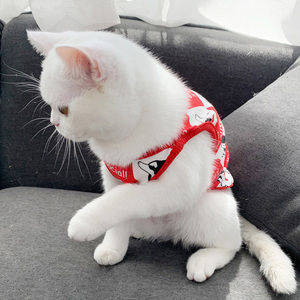 GMTPET New Designer Dog Summer Clothes Printed Cute Letter Dog Shirts Pupy Cat Clothes Dogs T-shirts Pet Apparel & Accessories - Product Image 4