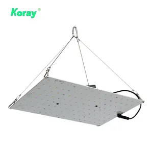 Koray Aluminium pcb led-platine lm301b/561c 301b 3000k 3500k 4000k bord 65w 60w led wachsen licht