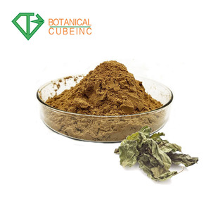 Natural Fructus Mori extracto de hoja de <span class=keywords><strong>morera</strong></span> polvo de extracto de - Product Image 2