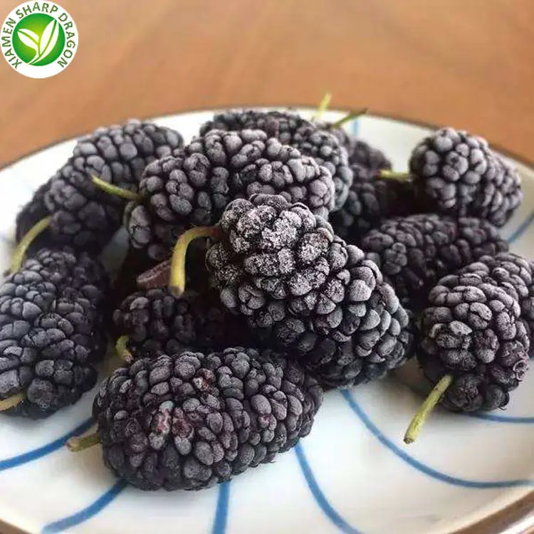 IQF-producto de fruta, Morera negra congelada