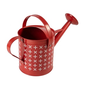 Giardino decorato In Acciaio Zincato polvere vintage coatedn vaso di fiori a buon mercato impianto di irrigazione metallo può - Product Image 2