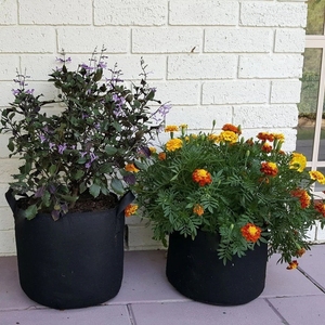 En gros et pas cher tissu non tissé plante pots <span class=keywords><strong>de</strong></span> <span class=keywords><strong>culture</strong></span> pour jardinière - Product Image 5