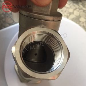 Nữ Chủ Đề Thép Không Gỉ Y Loại Mùa Xuân Nạp Kiểm Tra Van - Product Image 5