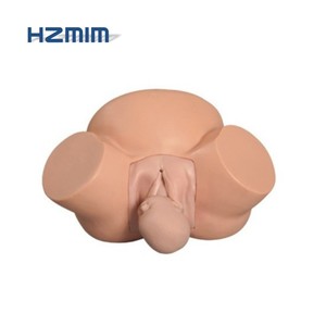 Medica <span class=keywords><strong>ciencia</strong></span> obstetricia modelo de enseñanza de anormal el parto simulador pélvica <span class=keywords><strong>en</strong></span> <span class=keywords><strong>la</strong></span> mujer modelo de formación - Product Image 3
