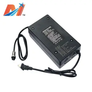 Maytech Planche À Roulettes Électrique Haute Puissance Chargeur De Batterie 58 V 2A 100-240 V 50/60Hz Chargeurs MTBC58520P