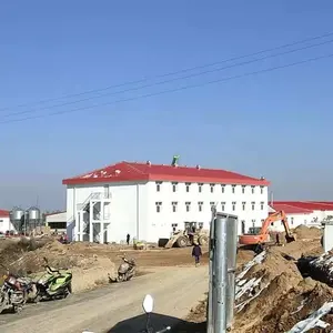 construction design pig shed long span steel structure FOR pig farm Q235 agricultural piggery house