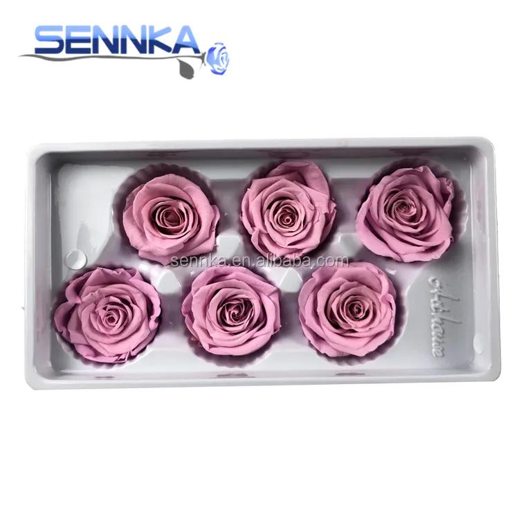 Natural flower Real Inflatable Preserved Fresh Cut Roses For sale