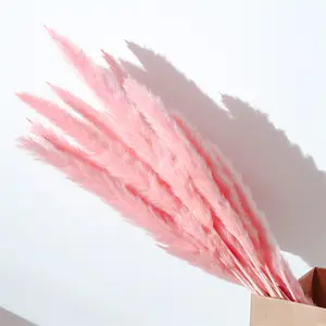 Pampas Grandes Secas y Esponjosas de Color Blanco al por Mayor, Flores de Pampas Secas, Hierba de Pampas Grande para Decoración de Bodas - Product Image 2