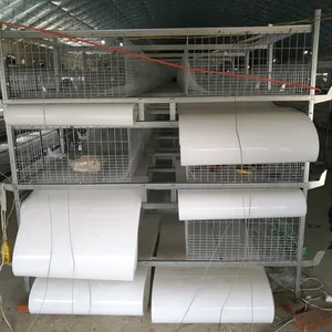 Galvanized house welded wire mesh broiler chicken h type automatic poultry layer cages feeding drinking feeding systems