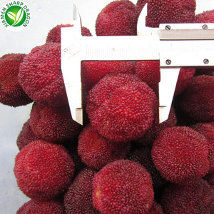 Suministro de China congelado IQF Arrayán rojo fruta congelada - Product Image 3