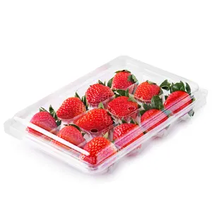 Wegwerp Plastic Clamshell Voedsel Verpakking Container Custom Vers Fruit Aardbei Verpakking Sample Mould Gratis