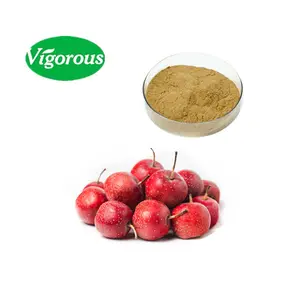 2% Vitexin HPLC crataegus monogyna hawthorn 叶提取物