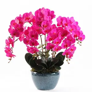 3D Flask Orchid Flowers Artificial Dendrobium Orchid Plants for Home Decor