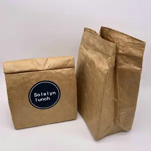 Reusable Brown Paper Lunch Bag Tyvek Lunch Sack