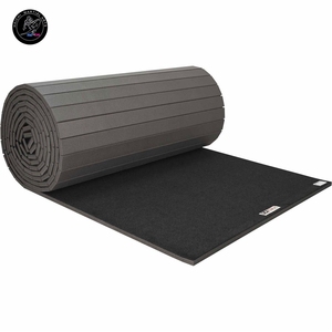 Tappeto per Wushu all'Ingrosso, Attrezzatura per Arti Marziali per Lotta in Offerta - Product Image 2