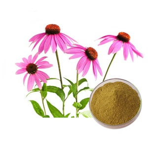 <span class=keywords><strong>Echinacea</strong></span> <span class=keywords><strong>Purpurea</strong></span> Chiết Xuất bột chicoric axit polyphenol <span class=keywords><strong>echinacea</strong></span> <span class=keywords><strong>purpurea</strong></span> - Product Image 2