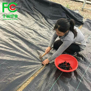 Clous <span class=keywords><strong>de</strong></span> <span class=keywords><strong>jardin</strong></span> en plastique pour fixer les tapis anti-<span class=keywords><strong>mauvaises</strong></span> <span class=keywords><strong>herbes</strong></span> - Product Image 4