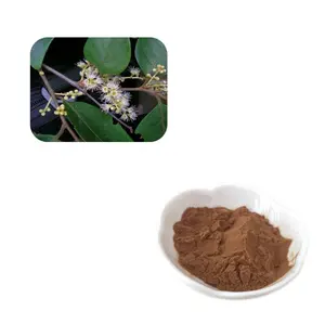 Most Powerful Pygeum Africanum Bark Plant Extract 13% Sterol Powder