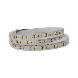 12 V SMD 2835 120 LED/M led 灯带瓦特每米