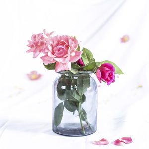 Home Decor Glaszylinder Vase Trompete Vase Kristall blume Glasvase